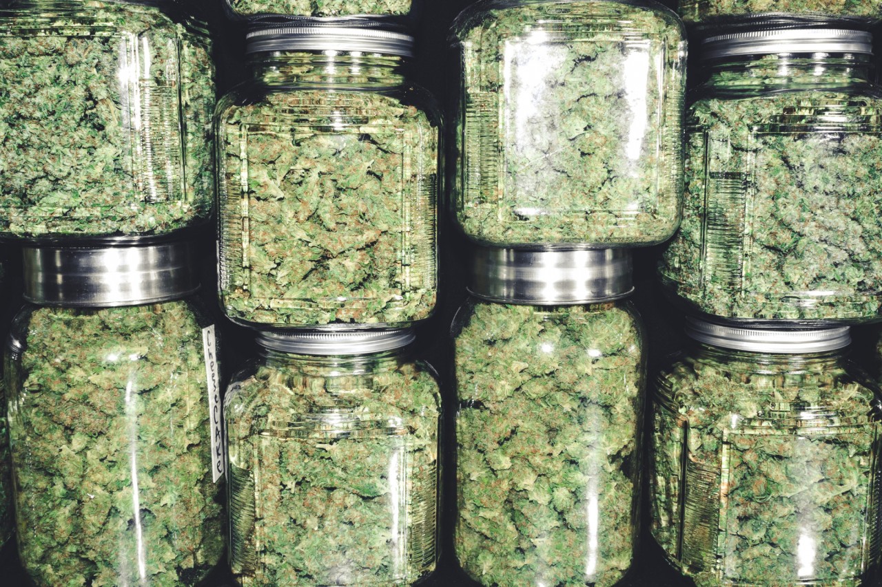 What is it Like to Work in the Cannabis Industry?